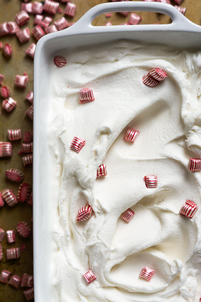 Homemade Peppermint Crunch Ice Cream is dairy free, ultra creamy and filled with peppermint candies! Just like my favorite store bought ice cream only better for you and better tasting too! 