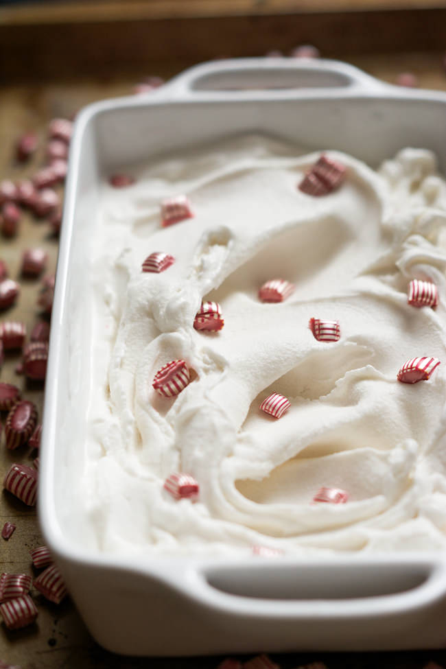 Homemade Crunch Peppermint Ice Cream is dairy free, ultra creamy and filled with peppermint candies! Just like my favorite store bought ice cream only better for you and better tasting too!