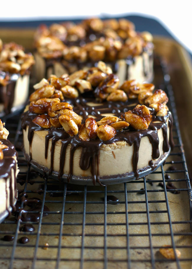 A rich and creamy dessert made over with greek yogurt! This Greek Yogurt Peanut Butter Cheesecake only tastes indulgent.  And topped with two ingredient Maple Peanut Clusters is sure to satisfy your peanut butter loving tastebuds!