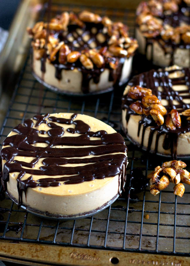 A rich and creamy dessert made over with greek yogurt! This Greek Yogurt Peanut Butter Cheesecake only tastes indulgent.  And topped with two ingredient Maple Peanut Clusters is sure to satisfy your peanut butter loving tastebuds!