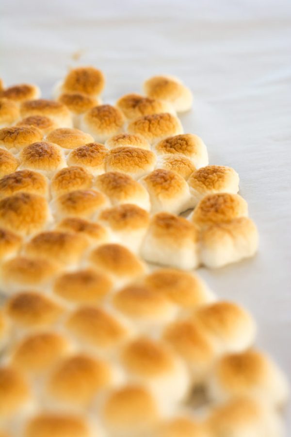 Cinnamon Sugar Sweet Potato Fries with Toasted Marshmallow Sauce