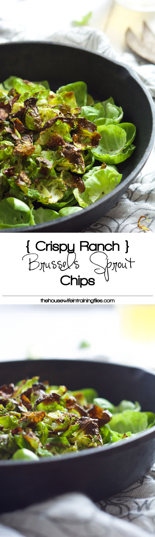 Healthy, crispy Crispy Ranch Brussels Sprout Chips are a gluten free, veggie packed snack that you won't feel bad about eating the whole batch! 