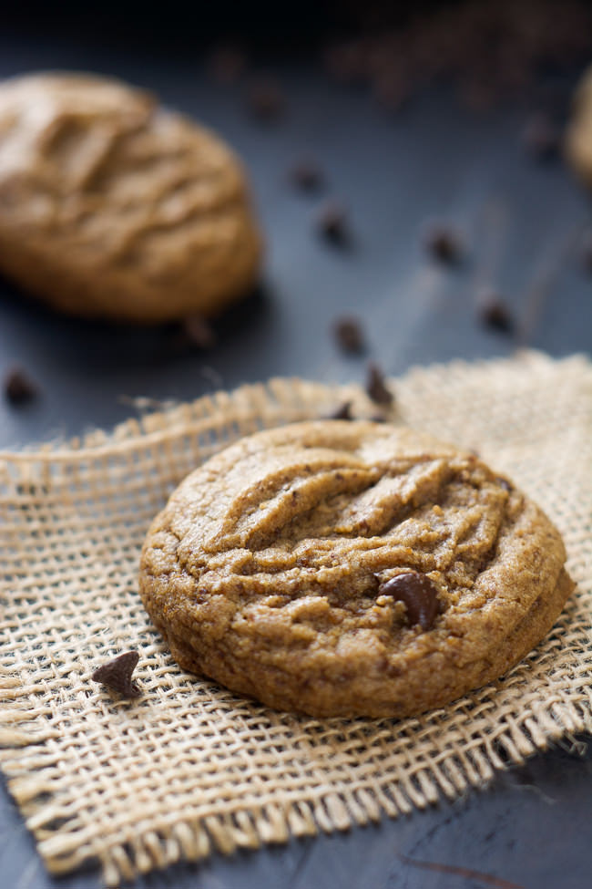 A healthier spin on the classic, these Chewy Whole Wheat Chocolate Chip Cookies provide you everything you love; a chewy, tender and full on chocolate, chocolate chip cookie!