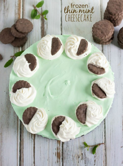Frozen Thin Mint Cheesecake | Chelsea’s Messy Apron