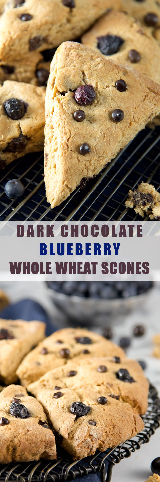 Dark Chocolate Blueberry Whole Wheat Scones are chewy, filled with whole grains, chocolate and juicy blueberries!